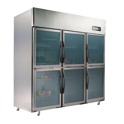 III portae vitreae leo